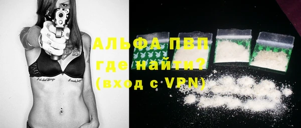 шишки Коряжма