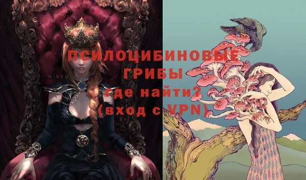таблы Костерёво