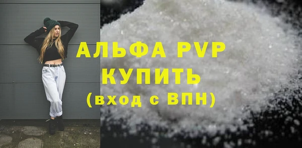 шишки Коряжма