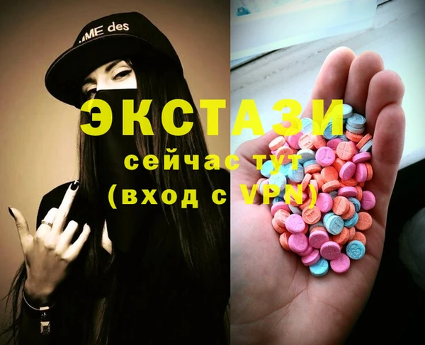 шишки Коряжма