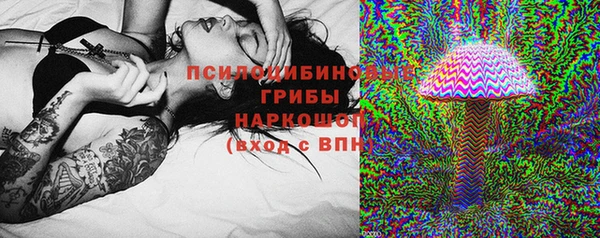 шишки Коряжма