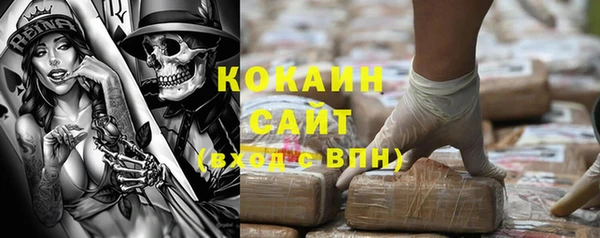 шишки Коряжма