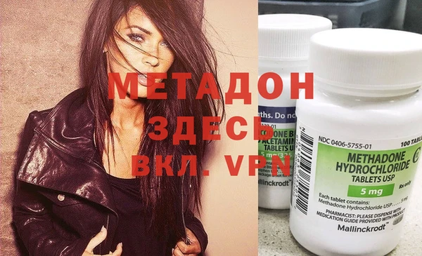 шишки Коряжма