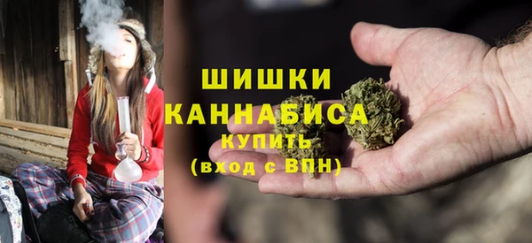 шишки Коряжма